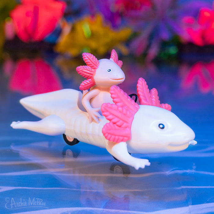 The Axolotl Joyride features a soft vinyl toy axolotl with pink gills riding on the back of a larger wheeled axolotl, set against a colorful background.