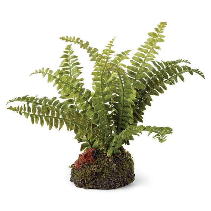 Boston Fern Drop-In 7" - Magnolia Lane co. Home + Garden + Gift