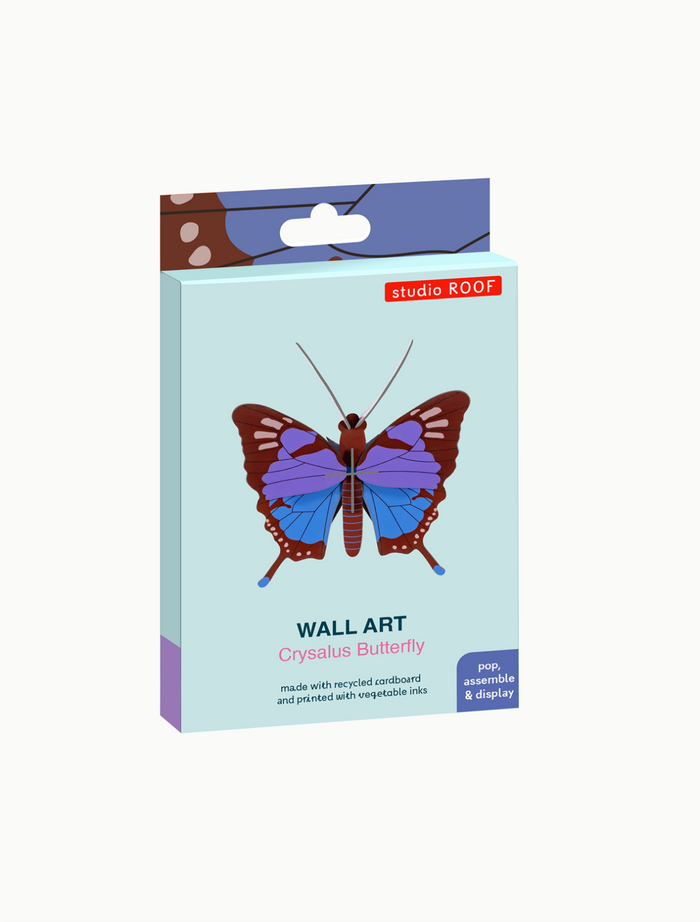 Crysalus Butterfly