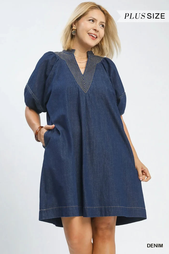 Denim Curvy V-Neck Dress