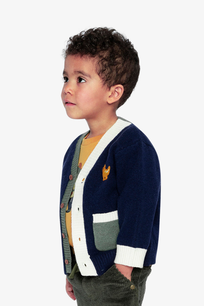 Knit Cardigan With Dino Dark Blue, Green And Yellow-4