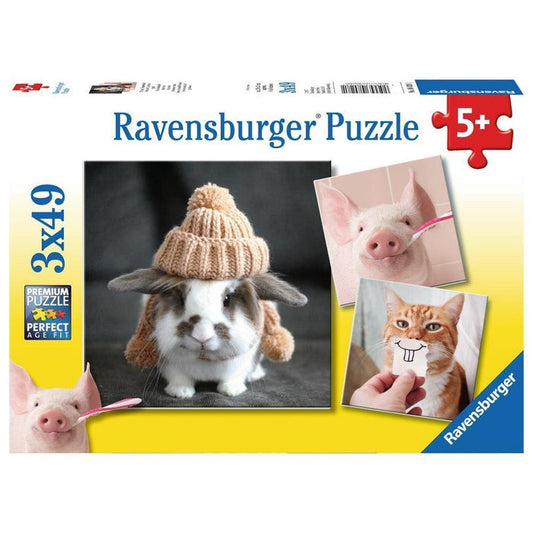 3x49 Funny Animal Portraits Puzzle