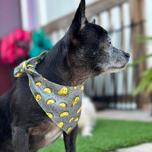 Taco Love Fancy Band-Anas For Pets