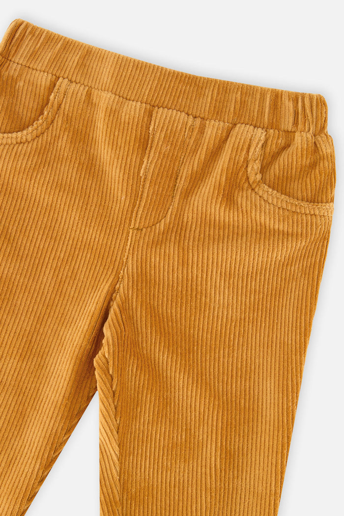 Baby Stretch Velour Treggings Yellow-2