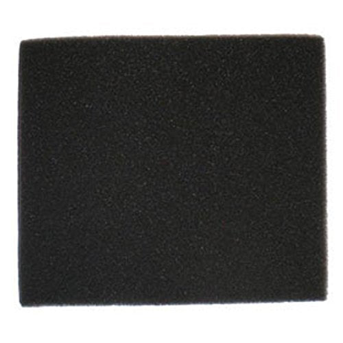 Bissell Bagless Canister Vacuum Cleaner Model 66T6 Foam Filter Part # 2037258