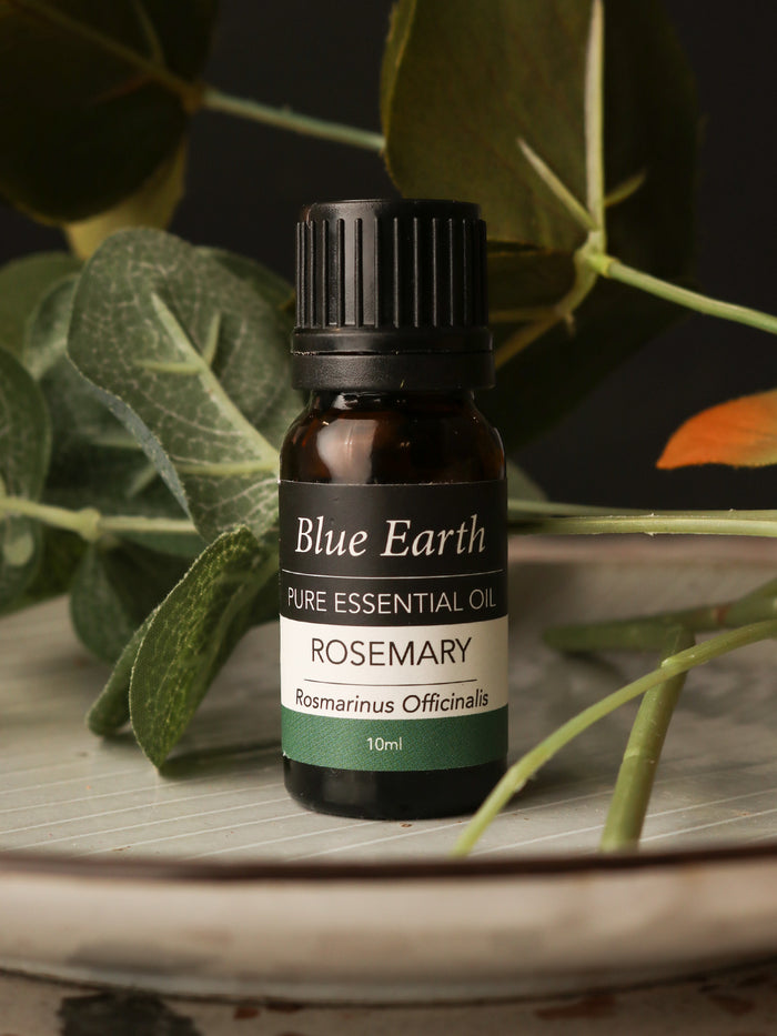 Blue Earth Essential Oil | Rosemary-Image 1