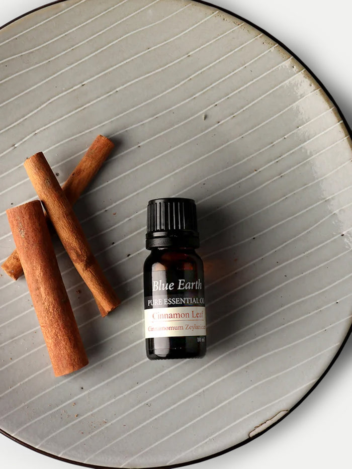 Blue Earth Essential Oil | Cinnamon-Image 1