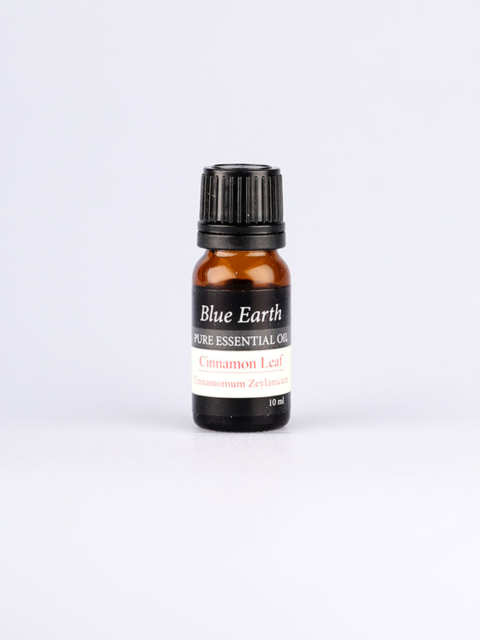 Blue Earth Essential Oil | Cinnamon-Image 2