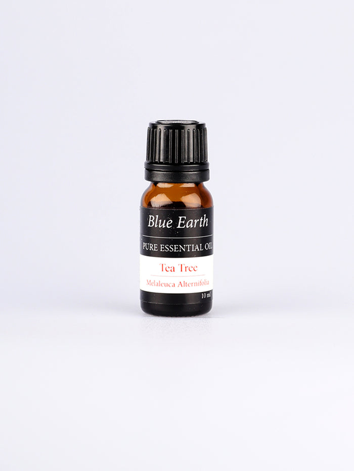 Blue Earth Essential Oil | Tea Tree-Image 2