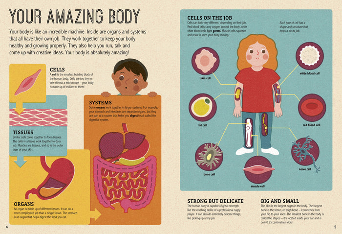 Book - My Amazing Body - Spread01