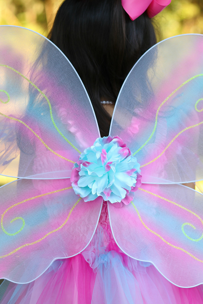 Butterfly Dress & Wings with Wand