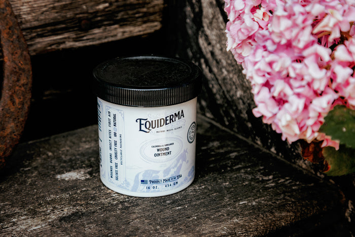 Calendula & Sunflower Wound Ointment
