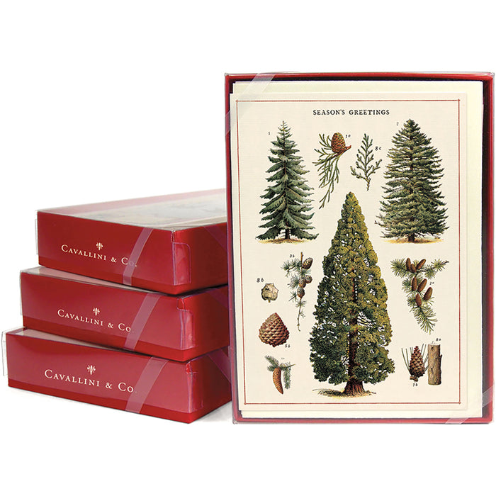 Christmas Trees Boxed Notecards