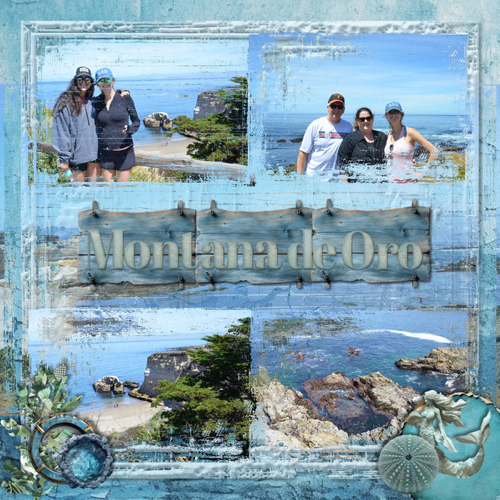 Love distressed wood backgrounds? Now you can create your own with these Enhanced Digital Art Easy Mask Frame Effects and Overlay Embellishments by Lucky Girl Creative digital art for digital scrapbooking. Perfect for beach vacations, western and farm pages, and so much more! With 24 unique grunge wood textures, these designs can be used as is, filled with paper, colorized, or used as Blend effects. Now you can design your own backgrounds! Make subtle or bold - the choice is yours!
