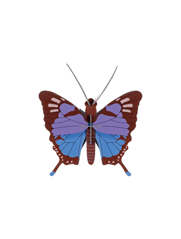 Crysalus Butterfly