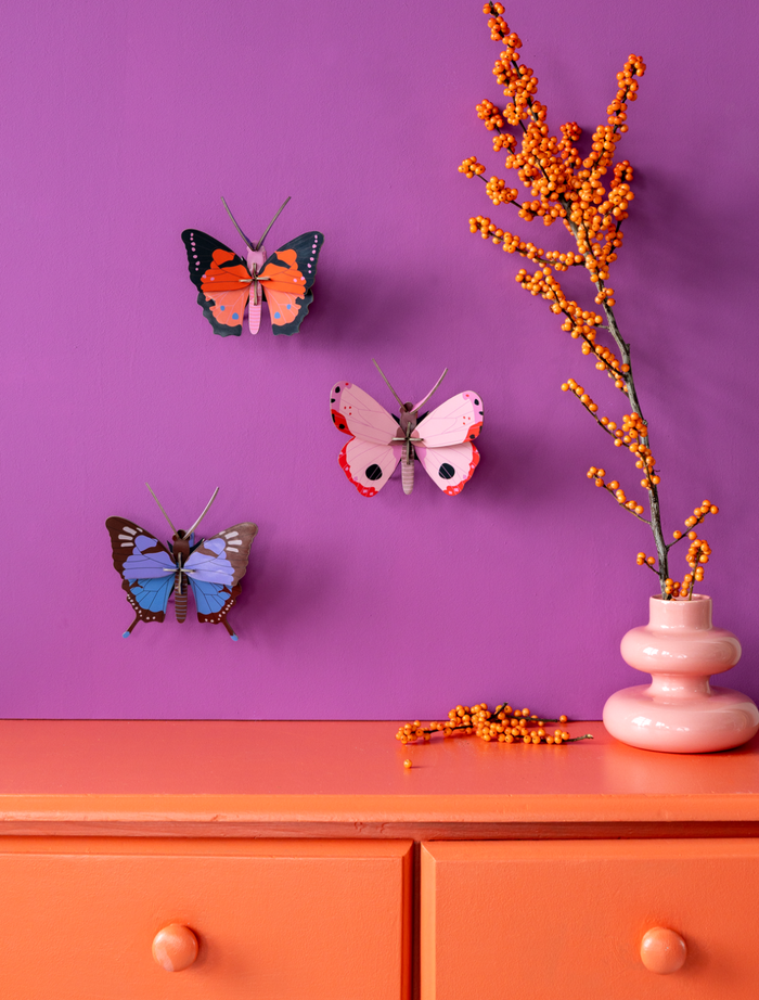 Crysalus Butterfly