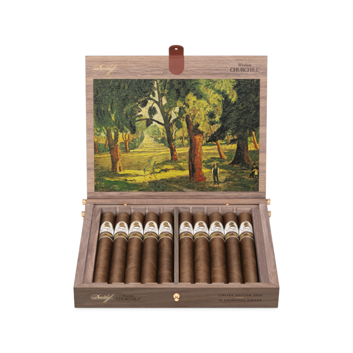 Davidoff Winston Churchill Limited Edition 2025 Cigar