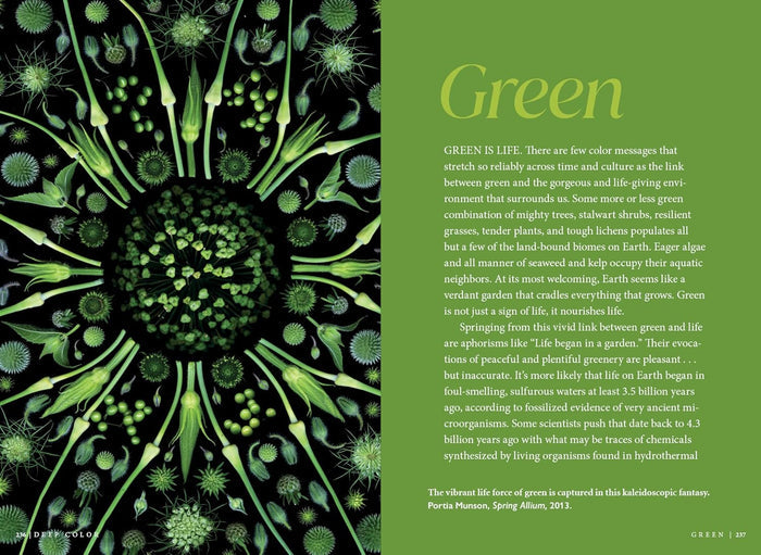 Deep Color: The Shades That Shape Our Souls