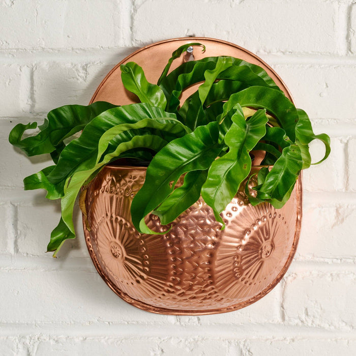 Dekhava Embossed Wall Planter (*Local Pickup/Local Delivery Only)