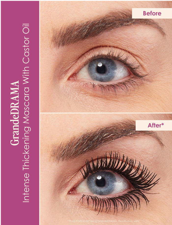 Dynamite Lashes & Brows