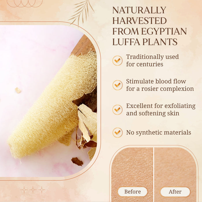 100% Egyptian Loofah Sponge Sets - Papa Bear Care