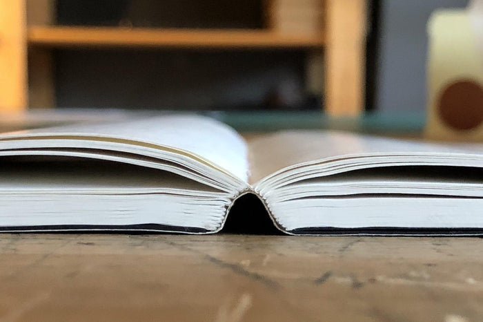 Everyday Blank Notebook - Tomoe River Paper - A5 Size - 400 Pages
