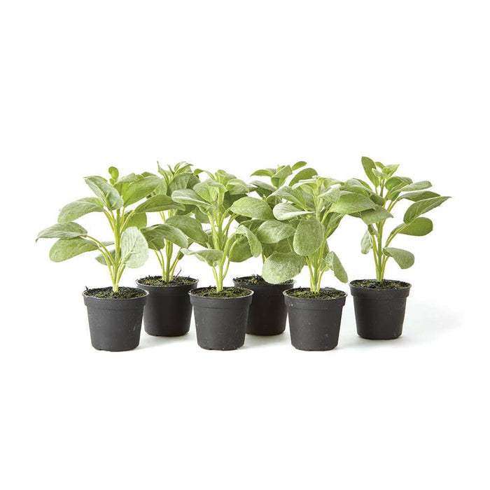 Faux Sage Herb Drop-In 6.5" - Magnolia Lane co. Home + Garden + Gift
