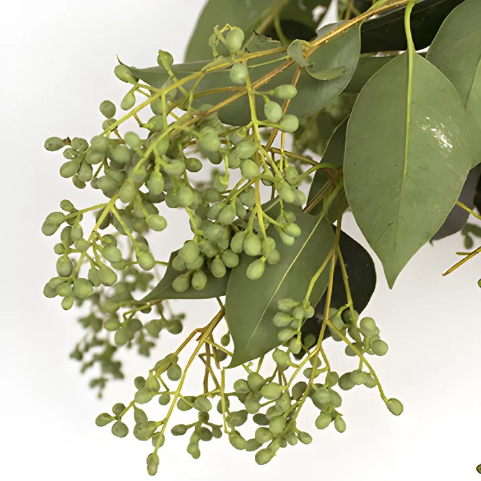 Wedding greenery bulk green privett berries sold near me