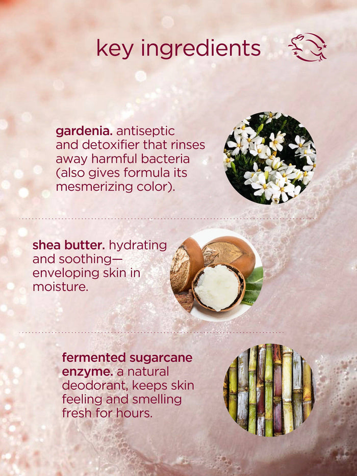 Hanni Cocoon Cleanse | 4-in-1 Solid Serum Body Cleanser