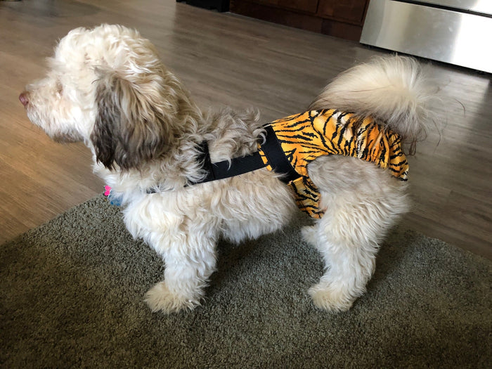 Tiger Stripe