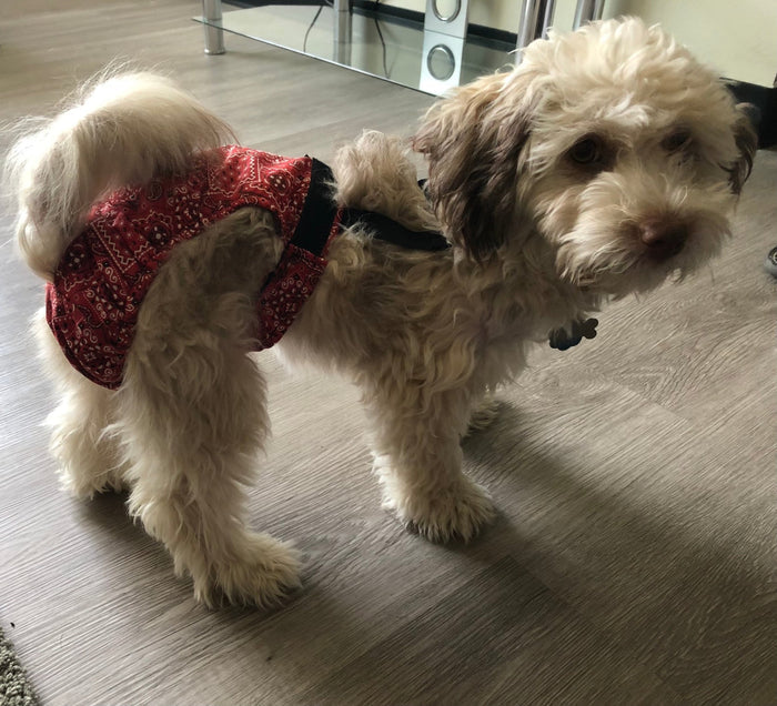 Red Bandana