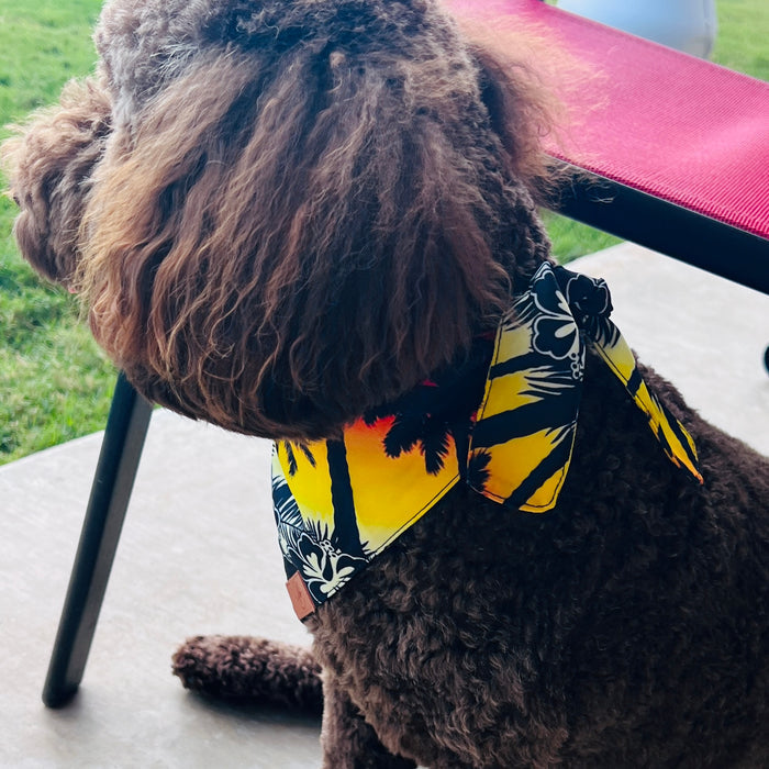 Hawaiian Shirt Fancy Band-Anas For Pets