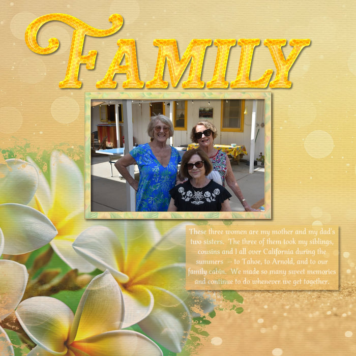 Showcase your favorite desserts, restaurants, recipes, and cookbook favorites with these fun digital scrapbooking alphabet letters, numbers, and punctuation by Lucky Girl Creative digital art great for creating one-of-a-kind digital scrapbooking page titles. Great for sweet treats, hot summer days, and beekeeping! This alpha set consists of a full set of digital art uppercase letters A-Z, lowercase letters a-z, numbers 0-9, and most punctuation. This alpha set is available as individual embellishments only.