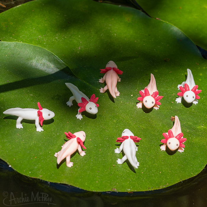 The Itty Bitty Axolotls, made from soft vinyl, are laid out on a large green lily pad, soaking up the sunlight.