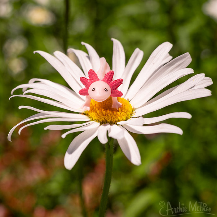 An Itty Bitty Axolotls figurine, in a soft pink and crafted from vinyl, rests on a white daisy against a blurred green backdrop.