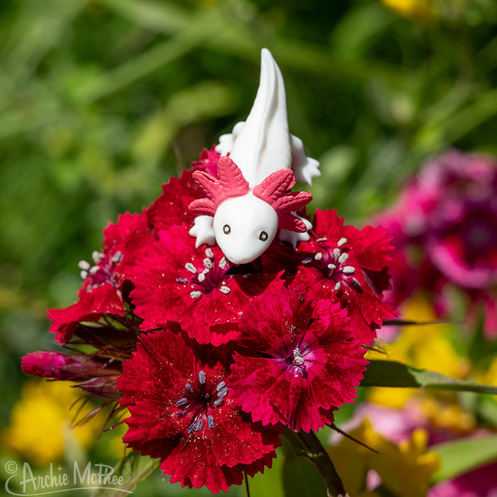 An adorable white Itty Bitty Axolotl figurine made of soft vinyl is perched on vibrant red flowers in a garden setting.