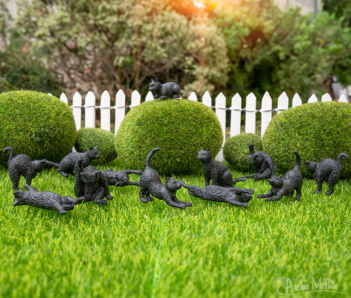 Itty Bitty Black Cats are depicted in various poses on the grass, encircled by lush green shrubs and a white picket fence.
