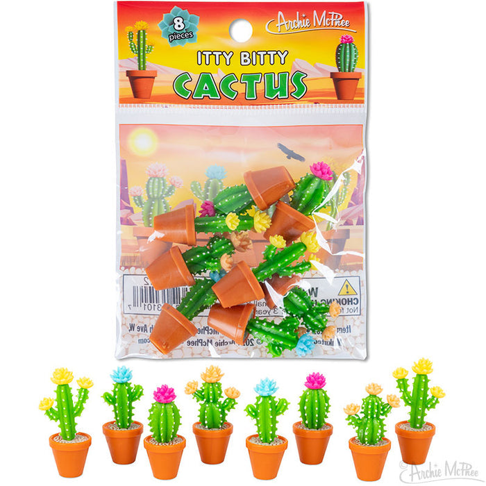 Pack of miniature cactuses adorned with vibrant flowers, branded as Itty Bitty Cactus by Archie McPhee.