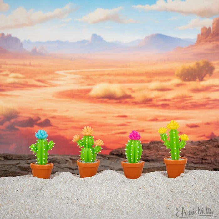 Four Itty Bitty Cactus plants are nestled in the sand against a desert landscape under a vibrant blue sky.