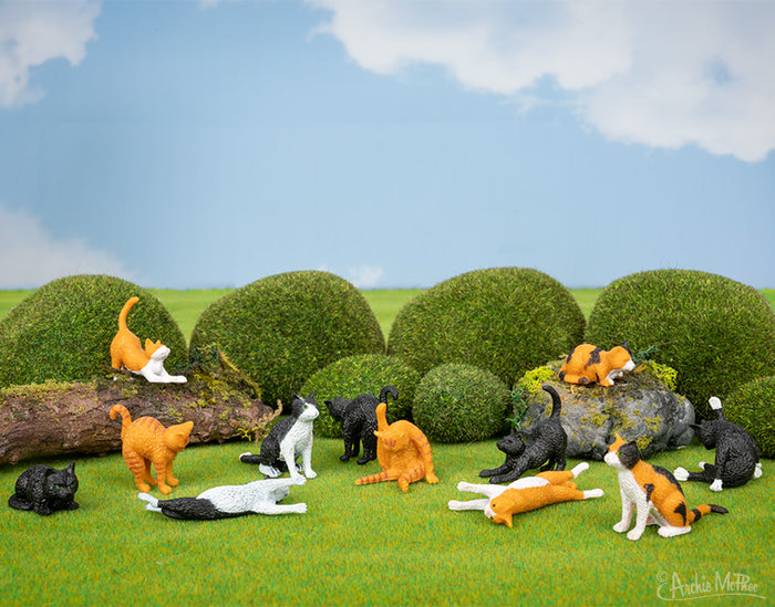 The Itty Bitty Cats are arranged in playful poses on the grass, encircled by rocks draped in moss beneath a cloudy sky.