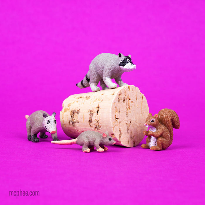 Itty Bitty City Critters showcases a raccoon, possum, rat, and squirrel set against a pink background with cork accents.