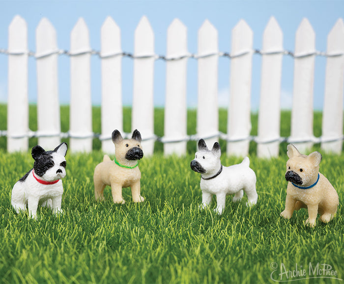 Four Itty Bitty French Bulldogs with amusing mustaches stand on grass in front of a white picket fence.