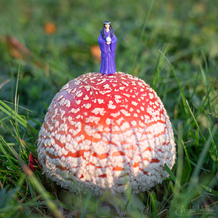 The Itty Bitty Wizards figure is perched atop a red mushroom adorned with white spots, amidst vibrant green grass.