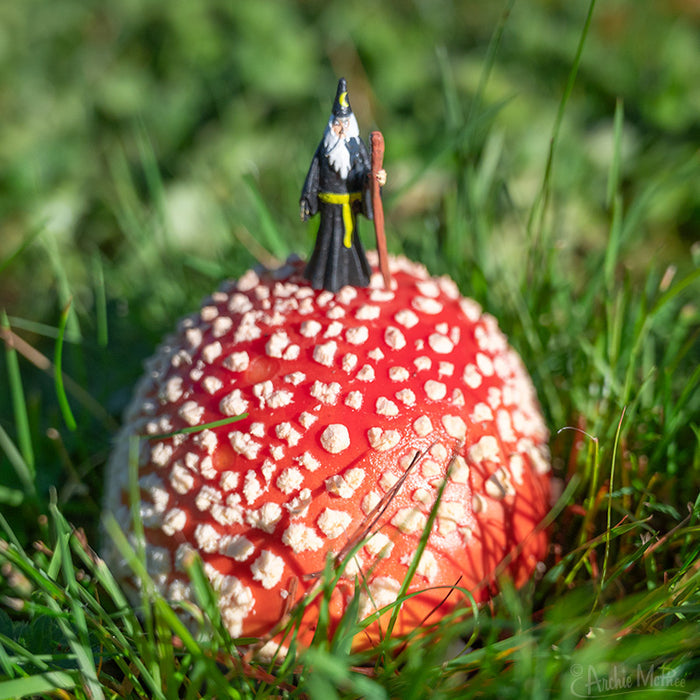 An Itty Bitty Wizards figurine stands on a large red mushroom with white spots surrounded by tall grass, ready for its next adventure in wizard battles.