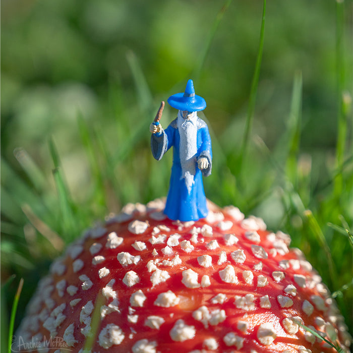 An Itty Bitty Wizards figurine stands on a red mushroom with white spots, surrounded by grass, ready for wizard battles.