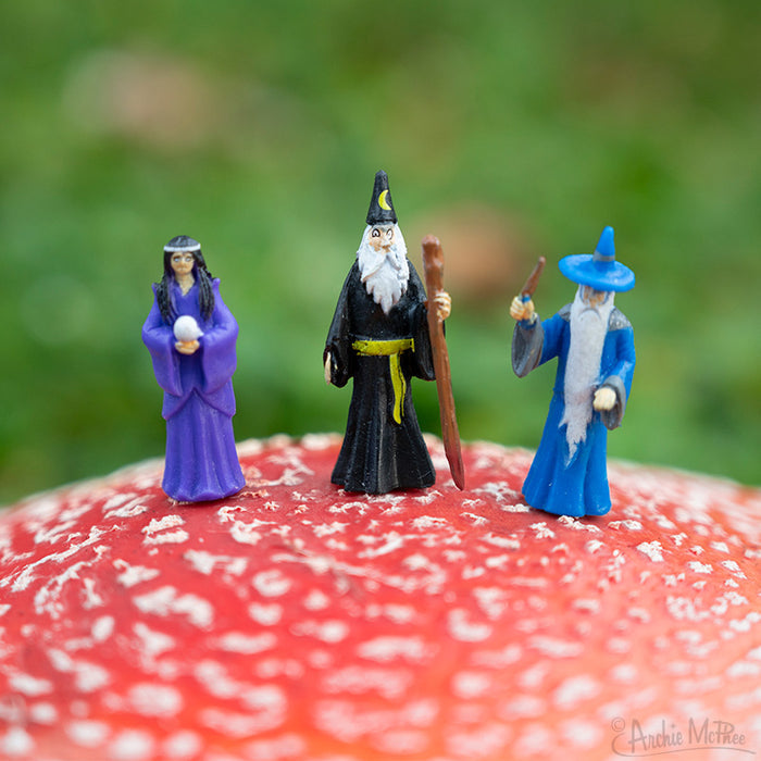 Three figures from the Itty Bitty Wizards collection are poised on a red mushroom with white spots, ready for wizard battles.