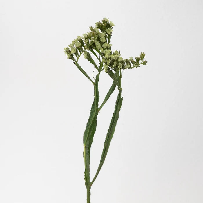 Jade Tinted Statice Flower Vase - Image