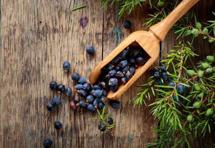 Juniper Berries & Tobacco - Premium Fragrance Oil