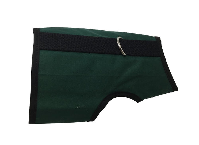 Hunter Green / XS