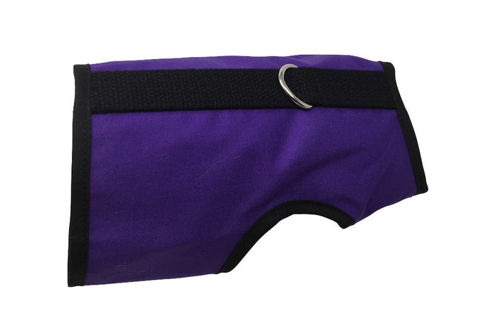 Purple / XS